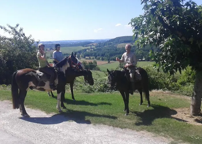 Ferme Equestre Des Abrons