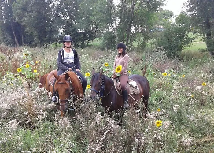 Ferme Equestre Des Abrons