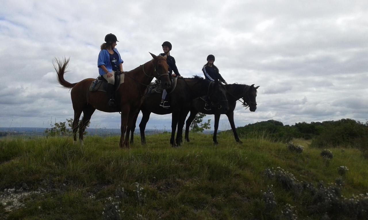 Ferme Equestre Des Abrons Pailloles