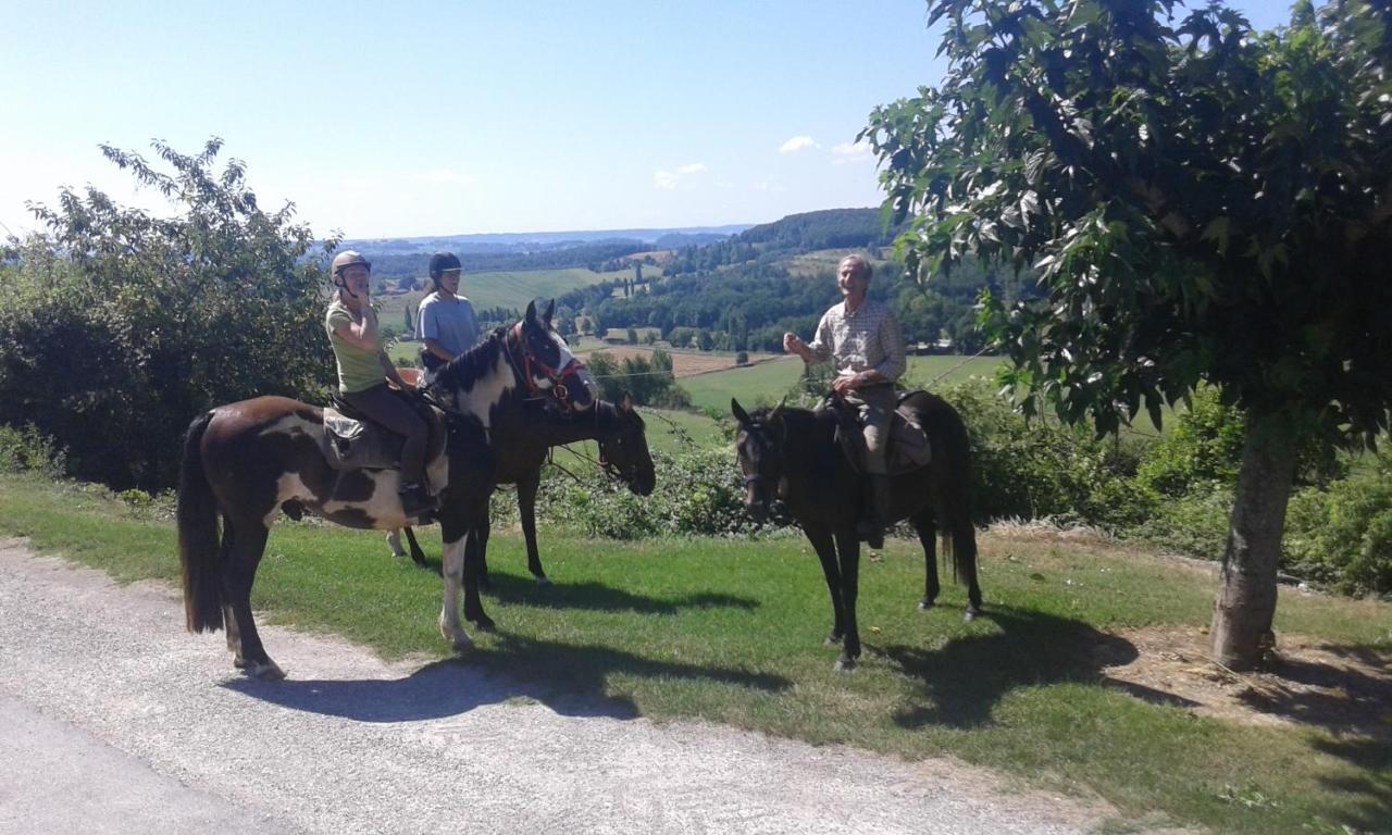 Ferme Equestre Des Abrons