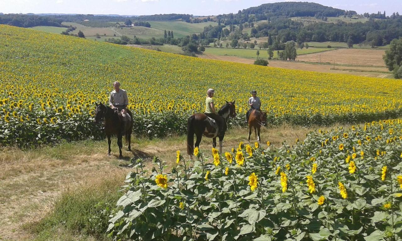 Holiday home Ferme Equestre Des Abrons *