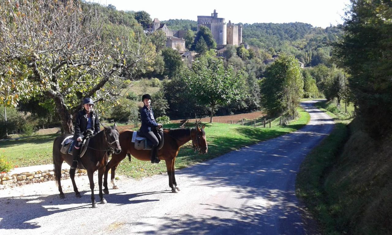 Ferme Equestre Des Abrons Holiday home *